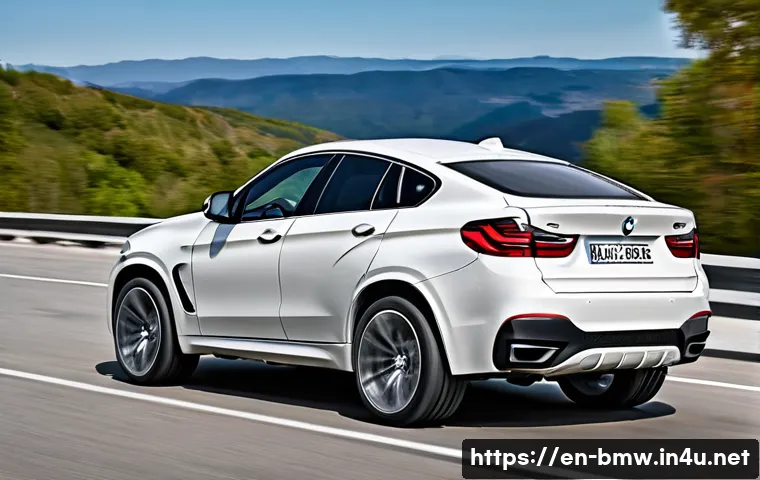 BMW X6 쿠페형 SUV 디자인 분석 관련 이미지 2